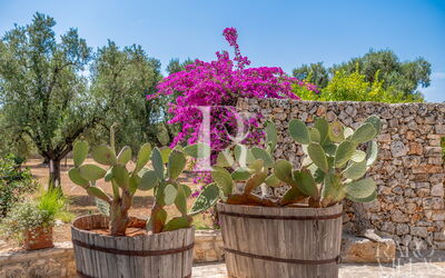 Villa del Capitolo con Trullo