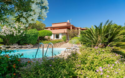 Essenza: Esterni, Giardino, Piscina