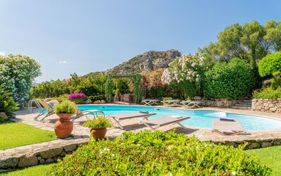 Essenza: Giardino, Piscina