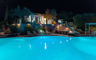 Villa Demetra: Pool