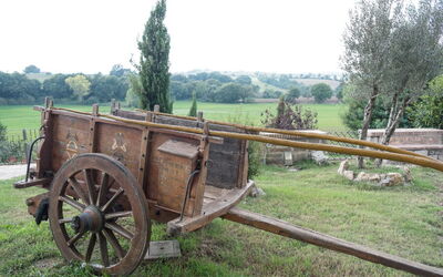 Country House Style - Montefiascone, Lazio: Autumn, Building Exterior, Spring, Summer