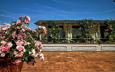 Pulsatilla: Balcony / Terrace / Patio, Outdoor