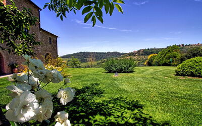 Pulsatilla: Garden, Outdoor, Pool, Scenic View