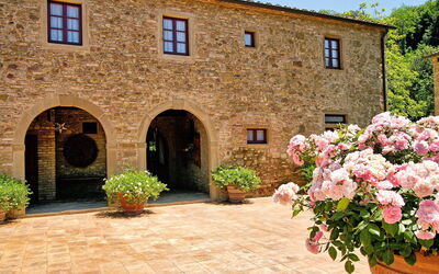 Pulsatilla: Balcony / Terrace / Patio, Outdoor