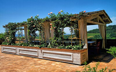 Pulsatilla: Outdoor, Pool, Scenic View