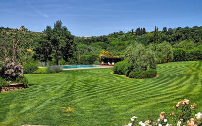 Pulsatilla: Garden, Outdoor, Pool, Scenic View