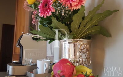 Junior Suite Cappuccino with Terrace