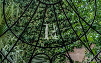 Junior Suite Cappuccino with Terrace