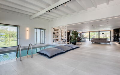 Villa Serenissima: bassin