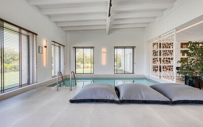 Villa Serenissima: bassin