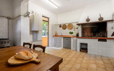 Tenuta de Paoli: Autumn, Kitchen, Spring, Summer