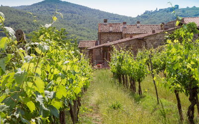 Le Masse - Greve in Chianti, Toscana: Automne, Été, Extérieurs, Printemps