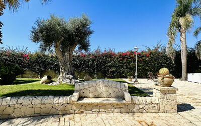 Villa Rosarno: Jardin