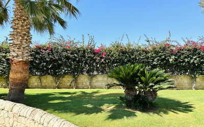 Villa Rosarno: Jardin