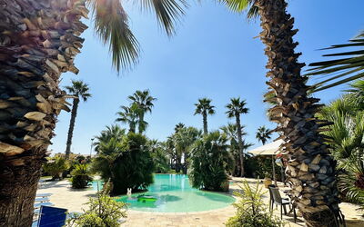 Villa Rosarno: bassin, Été, Extérieur, Jardin