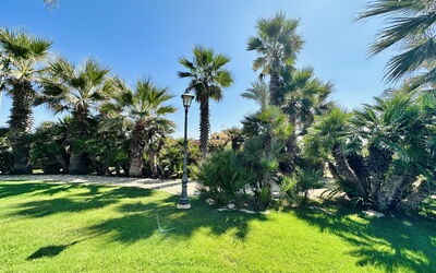 Villa Rosarno: Jardin