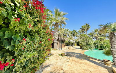 Villa Rosarno: bassin, Été, Extérieur, Jardin