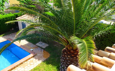 Villa Marisol: Outdoor, Pool