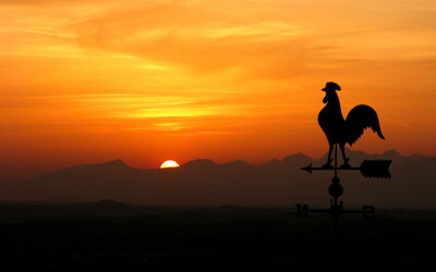 Villa Botinaccio: Scenic View