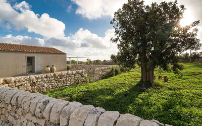 Villa Carmelita - Ragusa, Sicilia: Buitenkanten, Buitenshuis, Herfst, Lente, Tuin, Zomer