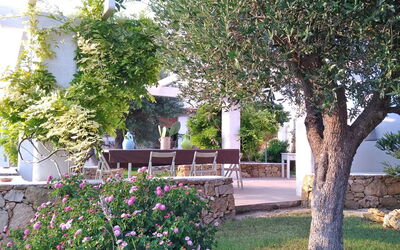 Villa Trullo - Torricella, Puglia: Automne, Balcon / Terrasse / Patio, Été, Extérieur, Extérieurs, Jardin, Printemps
