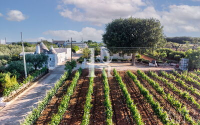 Le Dimore Crescenzio