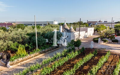 Le Dimore Crescenzio