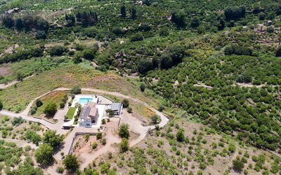 Villa Decorosa: Balkon / terras / patio, Buitenshuis, Herfst, Keer bekeken, Lente, Tuin, Voorzieningen, Zomer, zwembad