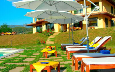 Villa Saida: all'aperto, Giardino, Piscina