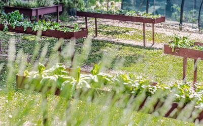 Chateau la Siroque: Buitenkanten, Buitenshuis, Tuin
