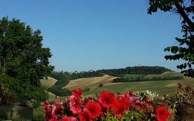 Villa Bellaluce 18: Keer bekeken