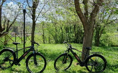 Villa Bellaluce 18: Activiteiten, Welzijn