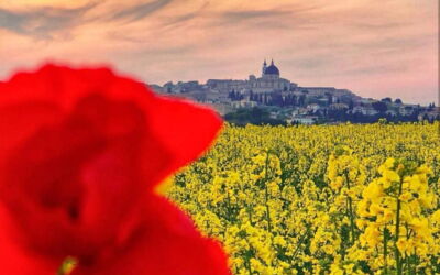 Villa Bellaluce 18: Keer bekeken