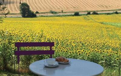 Villa Bellaluce 18: Keer bekeken