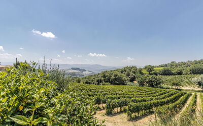 Chateau la Siroque: Building Exterior, Outdoor, Scenic View