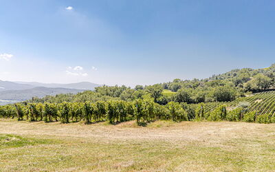 Chateau la Siroque: Building Exterior, Outdoor, Scenic View