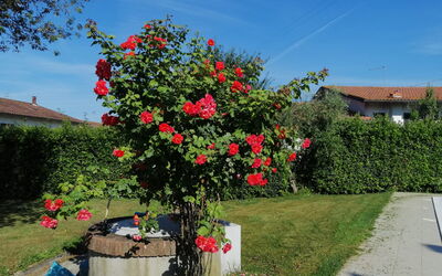 Franco House with Pool: Autumn, Garden, Spring, Summer