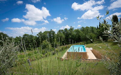 Vineyard'S Cottage with Pool, Ac, Wifi - Siena: Automne, Été, Jardin, Printemps
