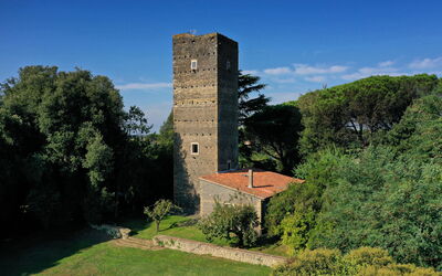Torre delle Cornacchie: Main