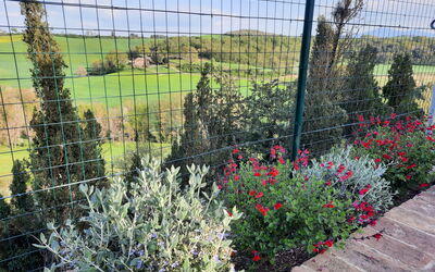 Casa le Crete: all'aperto, Esterni, Piscina, Vista Panoramica