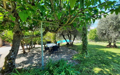 Villa San Giovanni: Giardino, Piscina