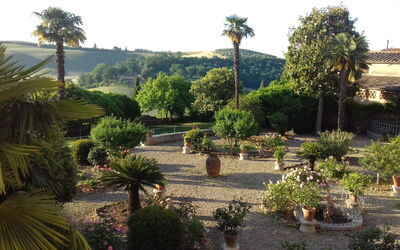 Villa delle Palme: Estate, Giardino, Vista Panoramica