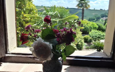 Villa delle Palme: Vista Panoramica