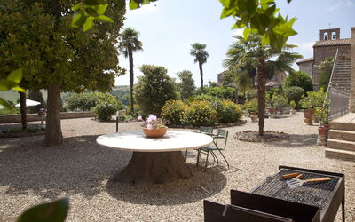 Villa delle Palme: Giardino