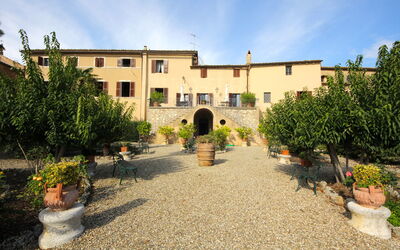 Villa delle Palme: Esterni, Giardino