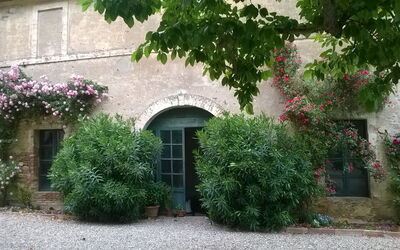 Villa delle Palme: Esterni, Giardino