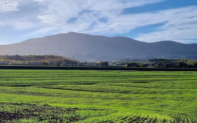 La Piccola Rocca: Scenic View