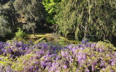 La Piccola Rocca: Outdoor