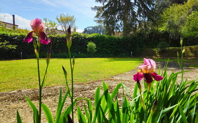 La Piccola Rocca: Garden