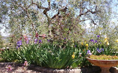 Villa Gaville: Jardin
